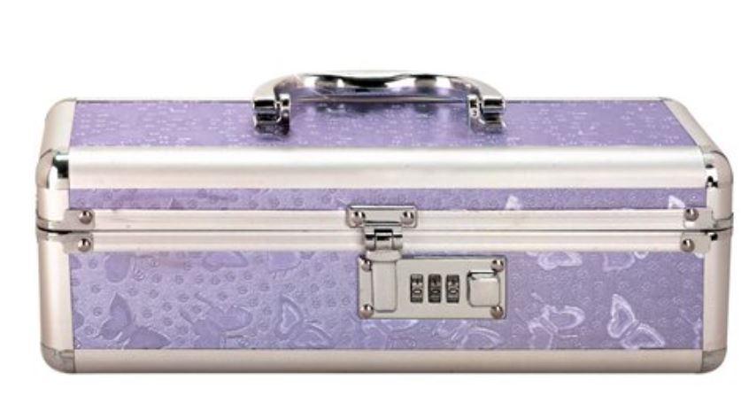 Lockable Vibrator Case - Best Bongs And More